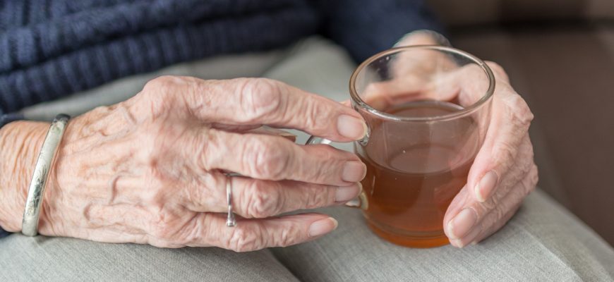hábitos alimentares idoso