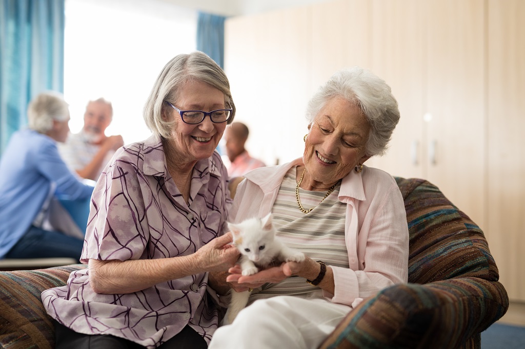 Benefícios da relação entre animais de estimação e idosos