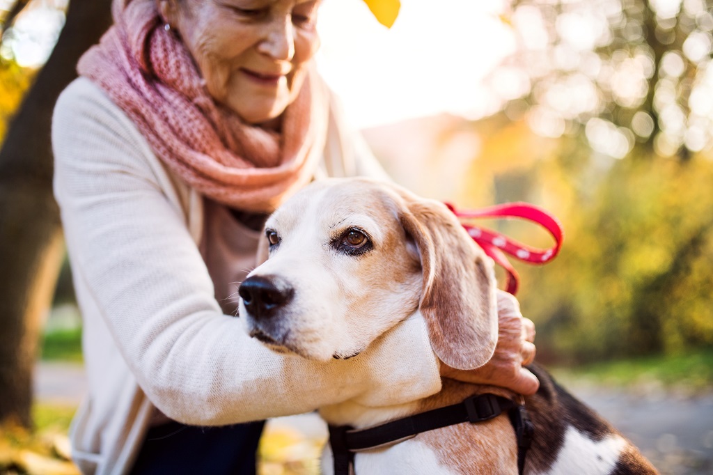 Benefícios da relação entre animais de estimação e idosos